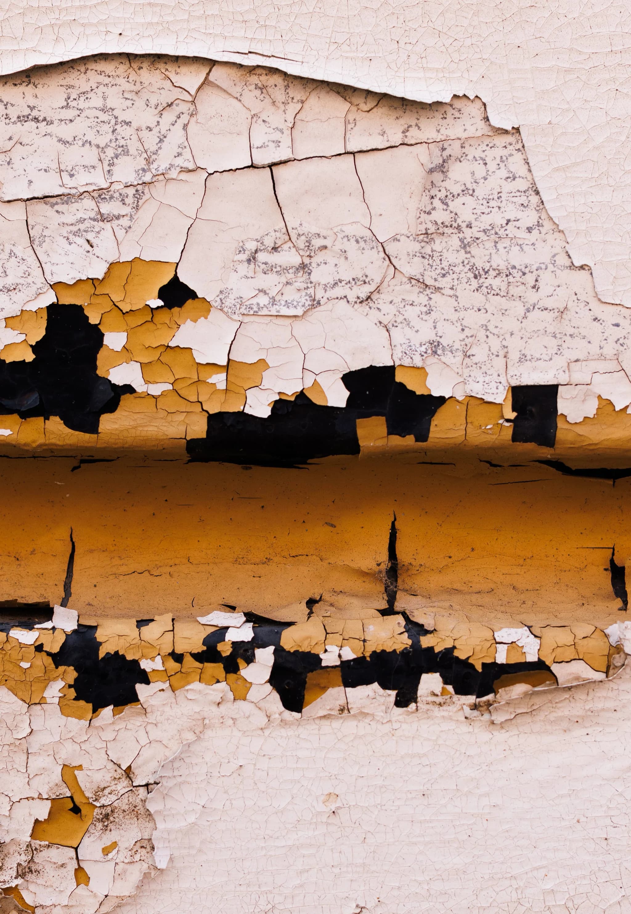 Macro of cracked pigment on a studio wall, raking light picking out every ridge, razor-thin plane of focus